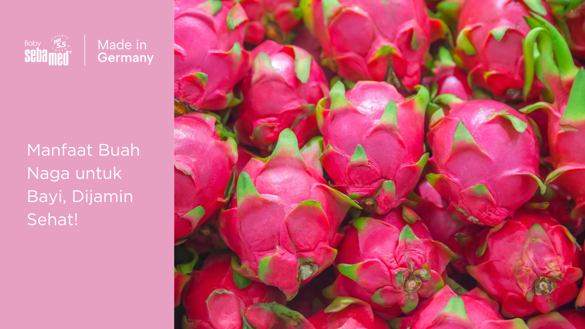 Manfaat buah naga untuk bayi